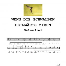 WENN DIE SCHWALBEN HEIMWÄRTS ZIEHN_Walzerlied