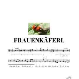 FRAUENKÄFERL
