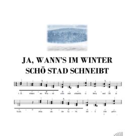 JA, WANN'S IM WINTER SCHÖ STAD SCHNEIBT