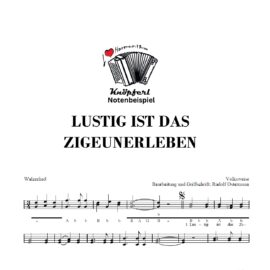 LUSTIG IST DAS ZIGEUNERLEBEN