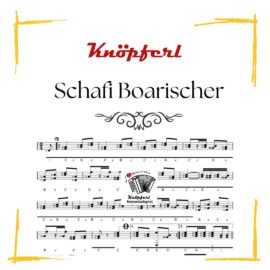 SCHAFI BOARISCHER