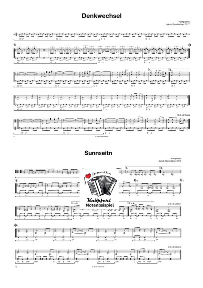 DENKWECHSEL Jakob Steinkellner - Steirische Harmonika – Bild 3
