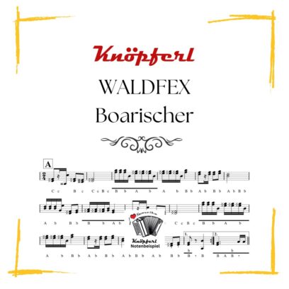 WALDFEX Boarischer