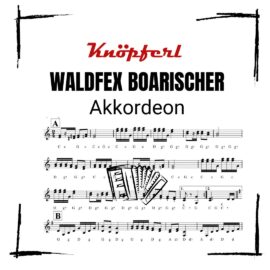 WALDFEX BOARISCHER Akkordeon