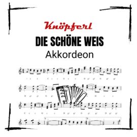 DIE SCHÖNE WEIS Akkordeon